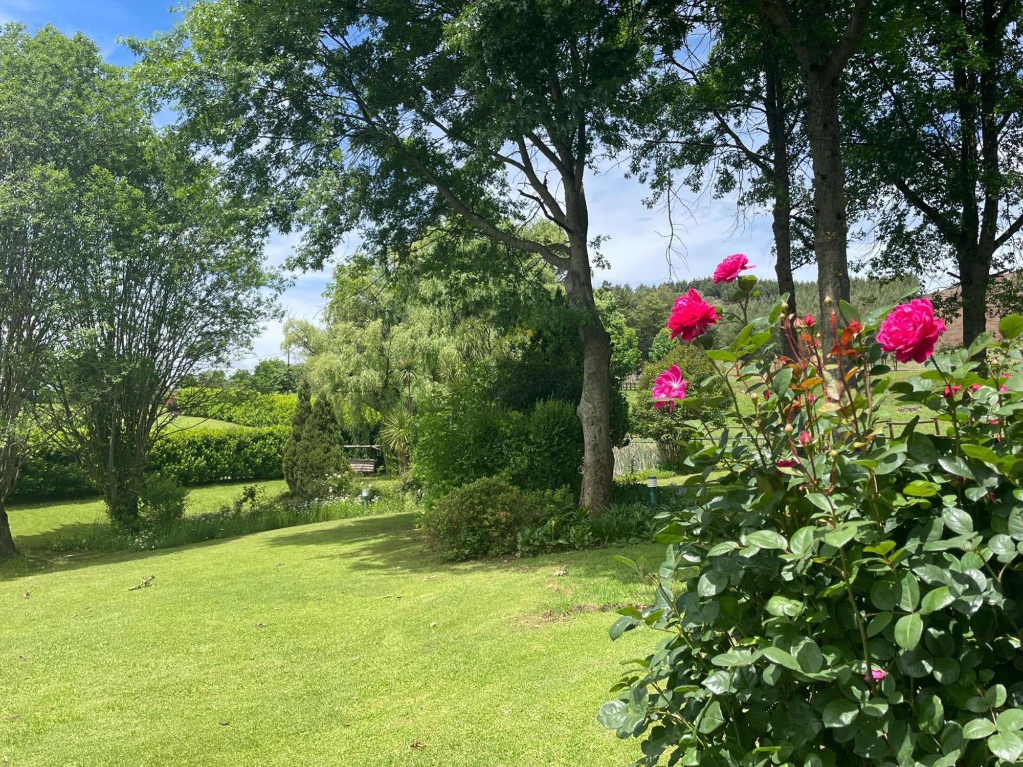 Willowbrooke Cottage 히머빌 외부 사진