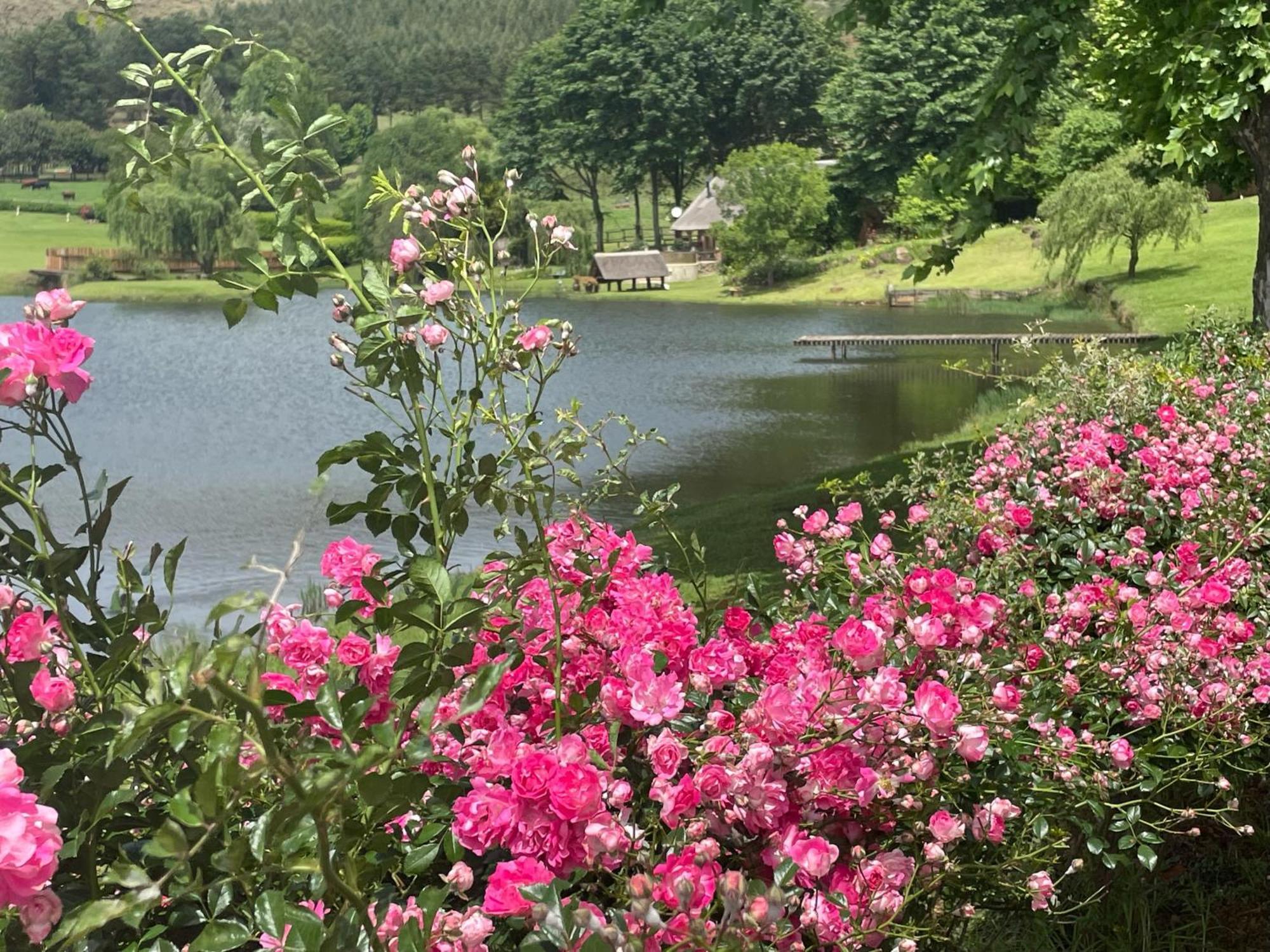 Willowbrooke Cottage 히머빌 외부 사진